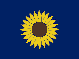 Kansas state flag-like banner